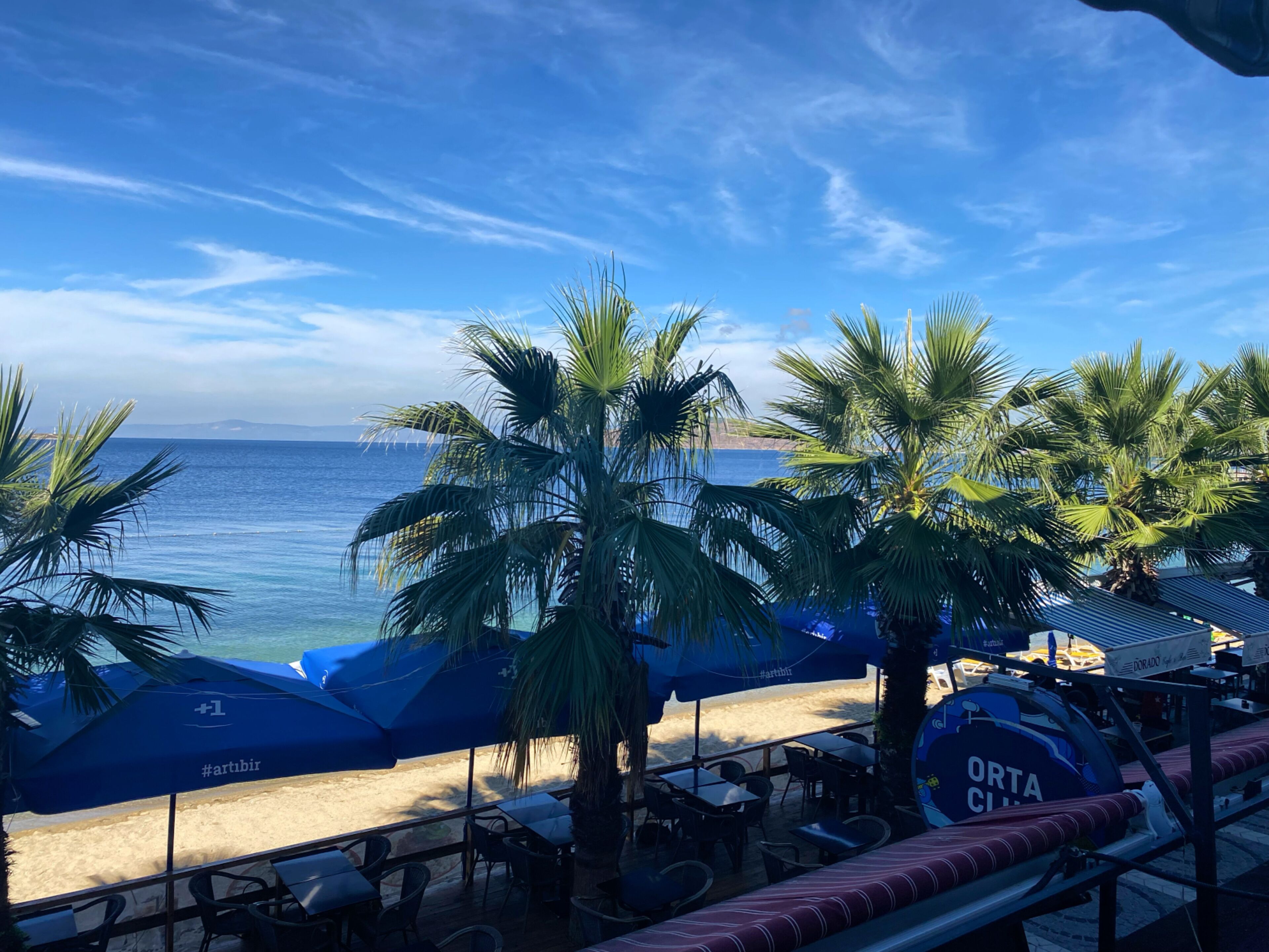 A beachside restaurant with outdoor seating, palm trees, and a view of the ocean.