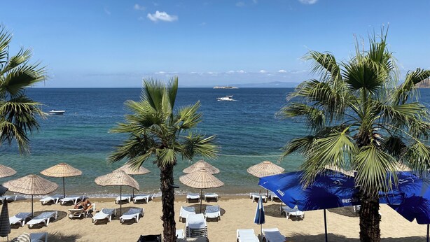 Una playa con sillas de descanso y sombrillas, palmeras y vista al océano.