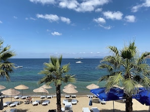 Una playa con sillas de descanso y sombrillas, palmeras y vista al océano.
