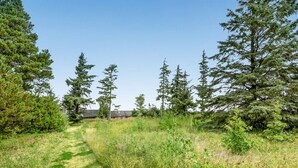 Un paysage rural avec un sentier menant à un bâtiment rouge, entouré d’une forêt dense de conifères.
