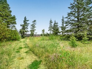 Ländliche Landschaft mit einem Pfad, der zu einem roten Gebäude führt, umgeben von dichten Nadelbäumen.