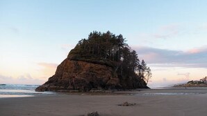 Une plage avec un promontoire rocheux bien visible et des arbres.