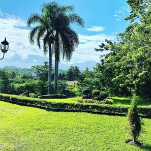 Property grounds - Delightful 4-bedroom villa in Buena Vista perfect for relaxing stays (Buena Vista)