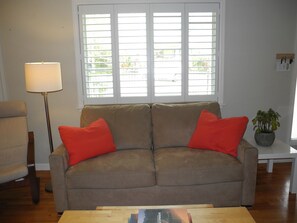 TV, fireplace, books
