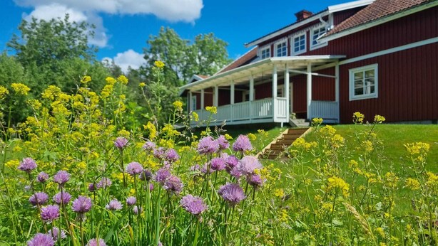 A house with a porch, surrounded by a garden with purple and yellow flowers. - Family House Near Tiveden National Park with fireplace, piano, big property (Finnerödj)