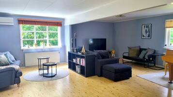 Smart TV, fireplace, video games, DVD player