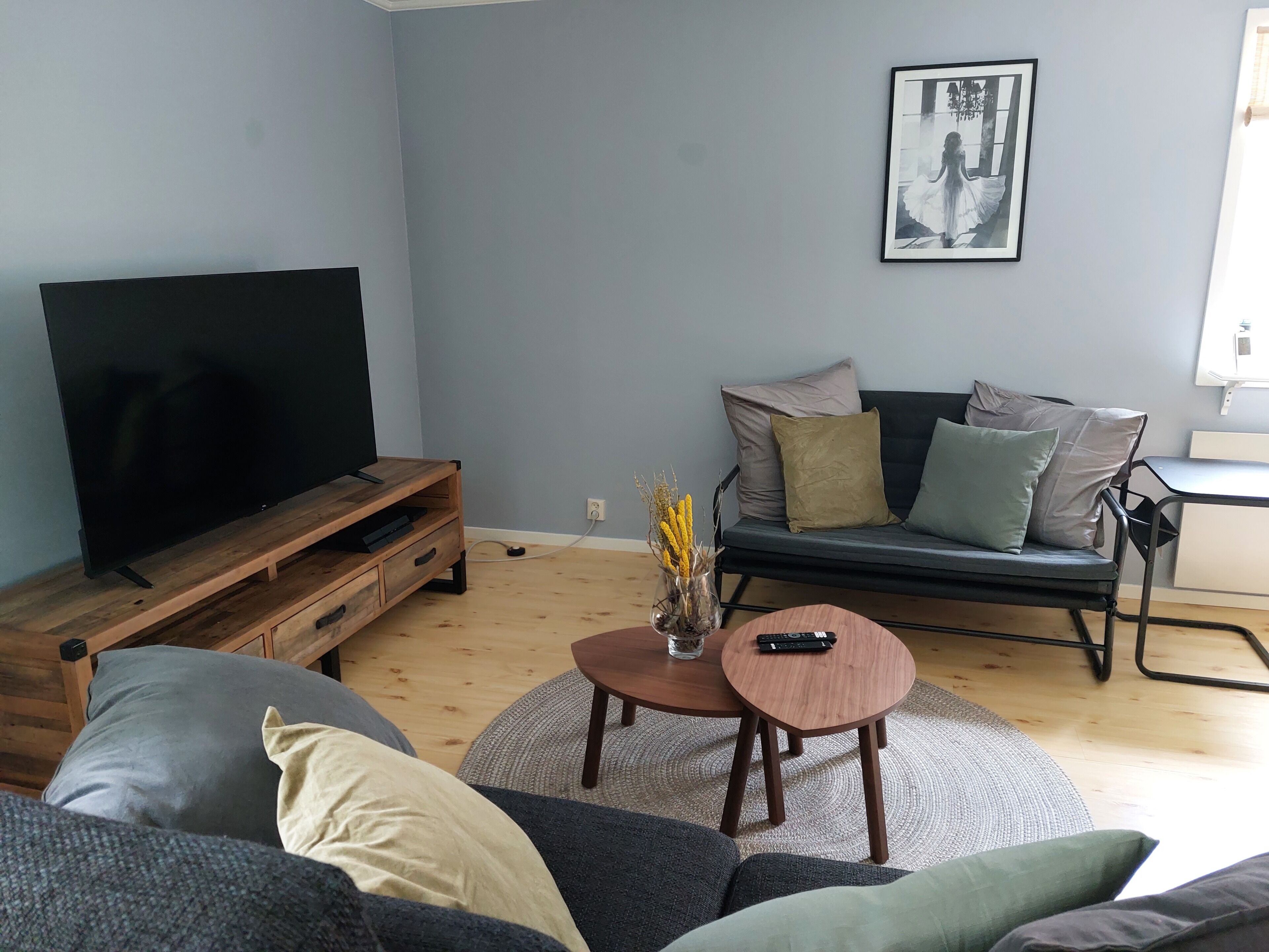 Smart TV, fireplace, video games, DVD player