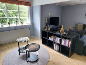 Smart TV, chimenea, videojuegos y reproductor de DVD