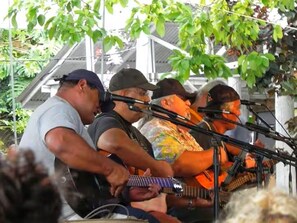 A group of musicians performing outdoors with a metal fence and greenery in the background. - Two houses for the price of one at beautiful orchid farm. (Pāhoa)