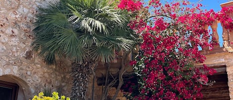المنطقة المحيطة بالمنشأة