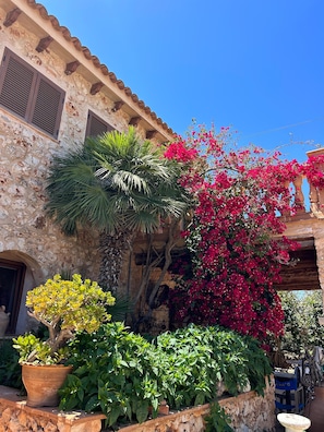 Property grounds - Double room, apartment in a Spanish villa (Porto Cristo)