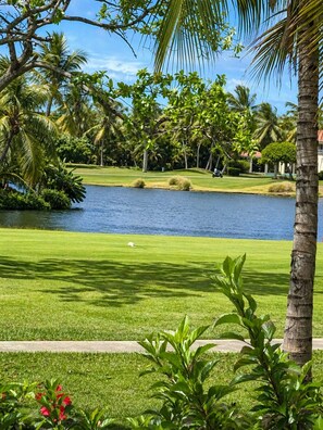 Een goed onderhouden golfbaan met een waterpartij, omgeven door weelderige begroeiing en palmbomen.