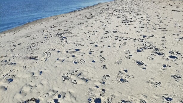 Ein sandiger Strand mit Fußspuren, ein klarer Himmel und ein ruhiges Meer.