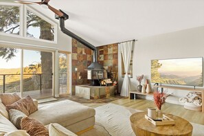 Smart-TV, Kamin
