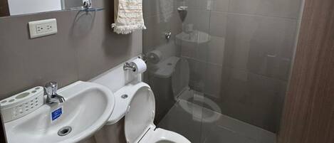 Un bany amb un lavabo, vàter i dutxa.