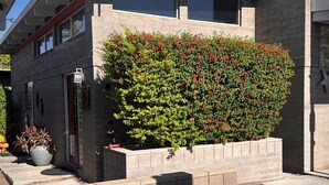 A modern building with a brick facade, a large hedge, and a small pool area. - Mid Century Modern Casita, kitchenette, laundry, AC & pool in Uptown Phoenix (Phoenix)