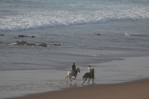 Zwei Reiter mit Pferden am Strand in der Nähe des Wassers.