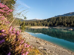 Un lac aux eaux limpides, entouré de montagnes boisées et bordé d’une rive rocheuse.