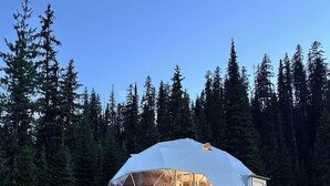 Kupolimainen teltta, jossa on puinen terassi ja kaiteet, ja jonka ympärillä on metsää.