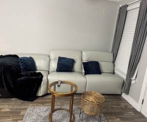 Living area - Cozy 1-bedroom 1 bathroom apartment in Houston. 6 mins from NRG stadium! (Houston)