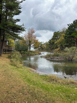 Property grounds - Creekside family gem, steps from beach and dunes (Silver Lake)