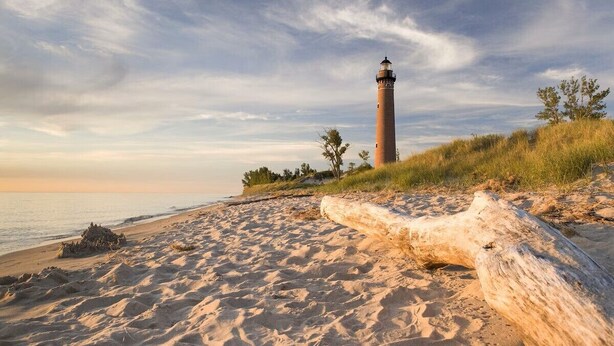 Een zandstrand met een vuurtoren, een grote boomstam en schaarse begroeiing.