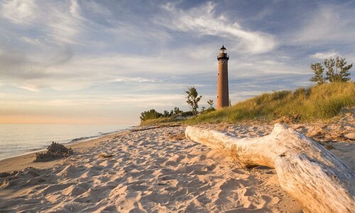 Creekside family gem, steps from beach and dunes
