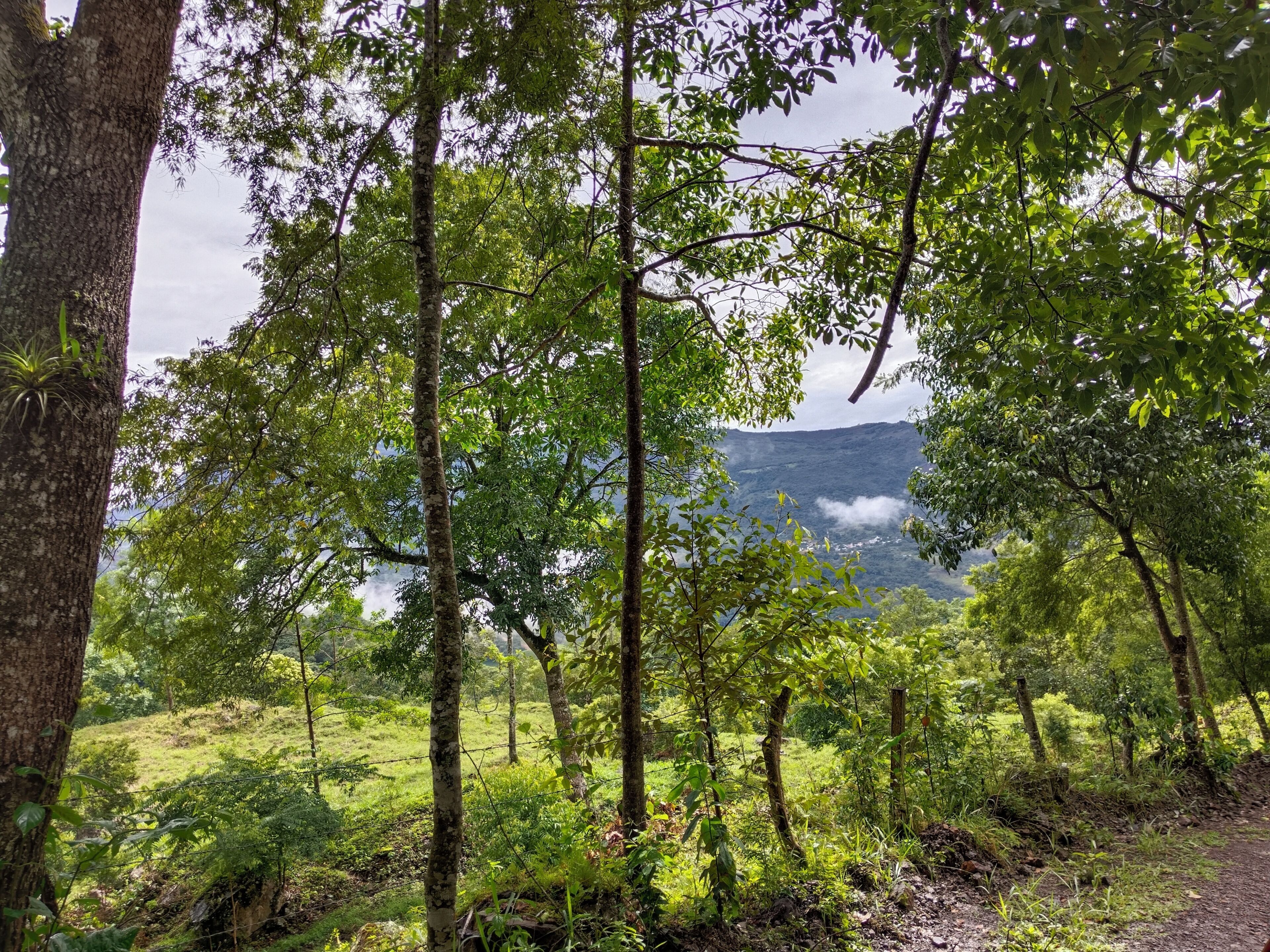 Kabin Klasik, balkon, pemandangan gunung | Lain-lain