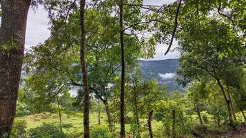 Kabin Klasik, balkon, pemandangan gunung | Lain-lain