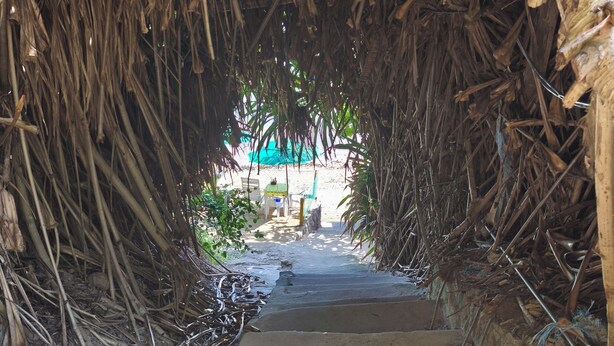 A pathway leading through a structure made of natural materials, with steps ascending towards a distant view.