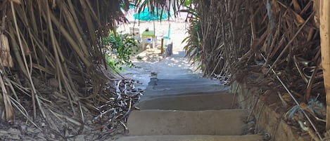 施設の敷地