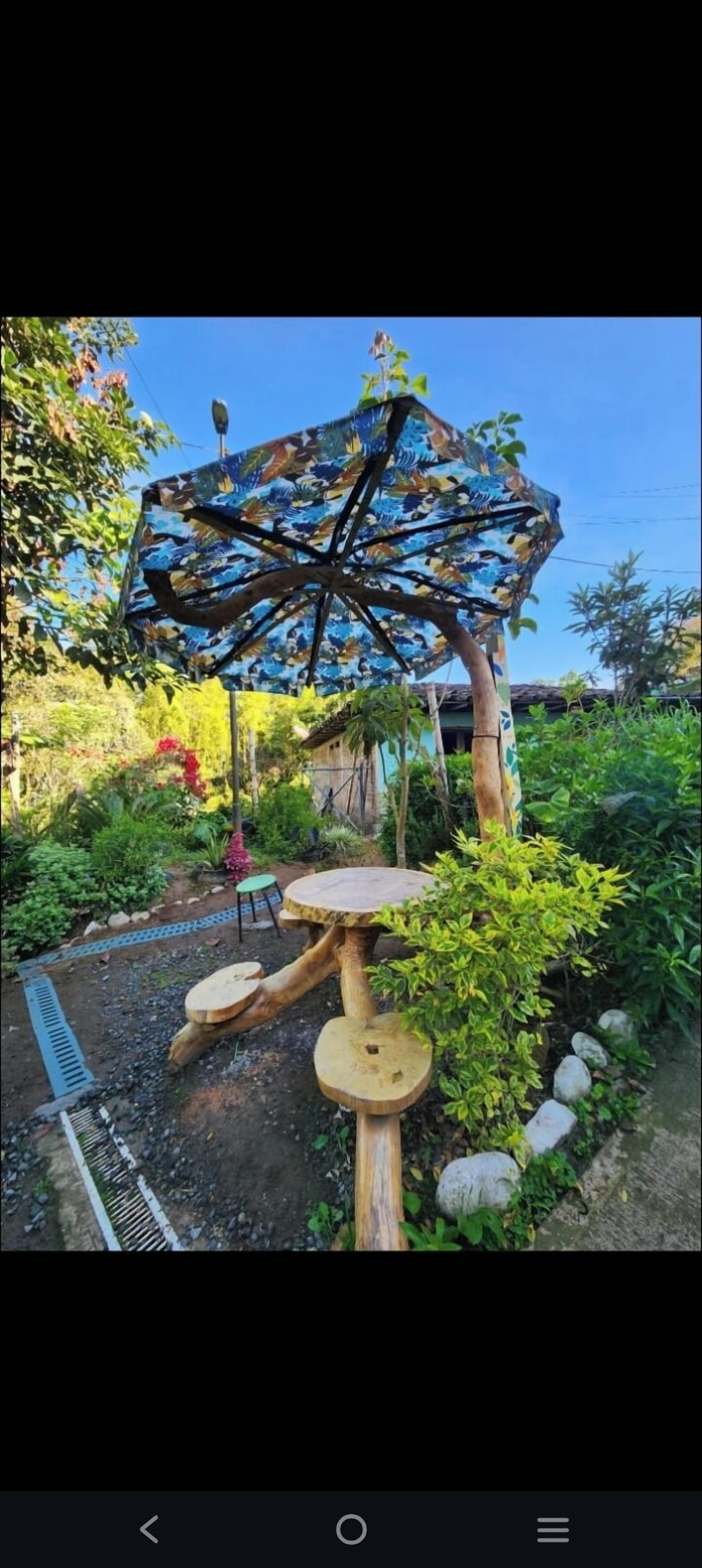 室外用餐