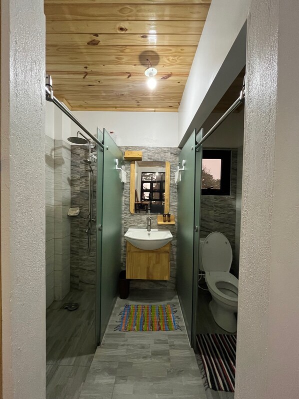 Shower, hair dryer, bidet, towels