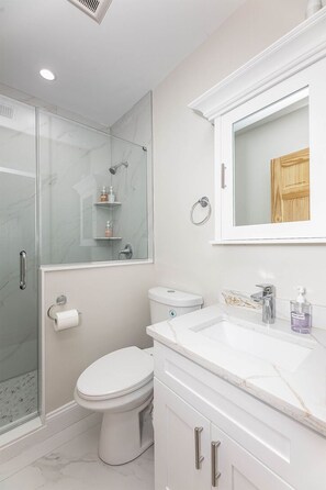 A modern bathroom with a glass-enclosed shower, a toilet, and a vanity with a mirror and sink.