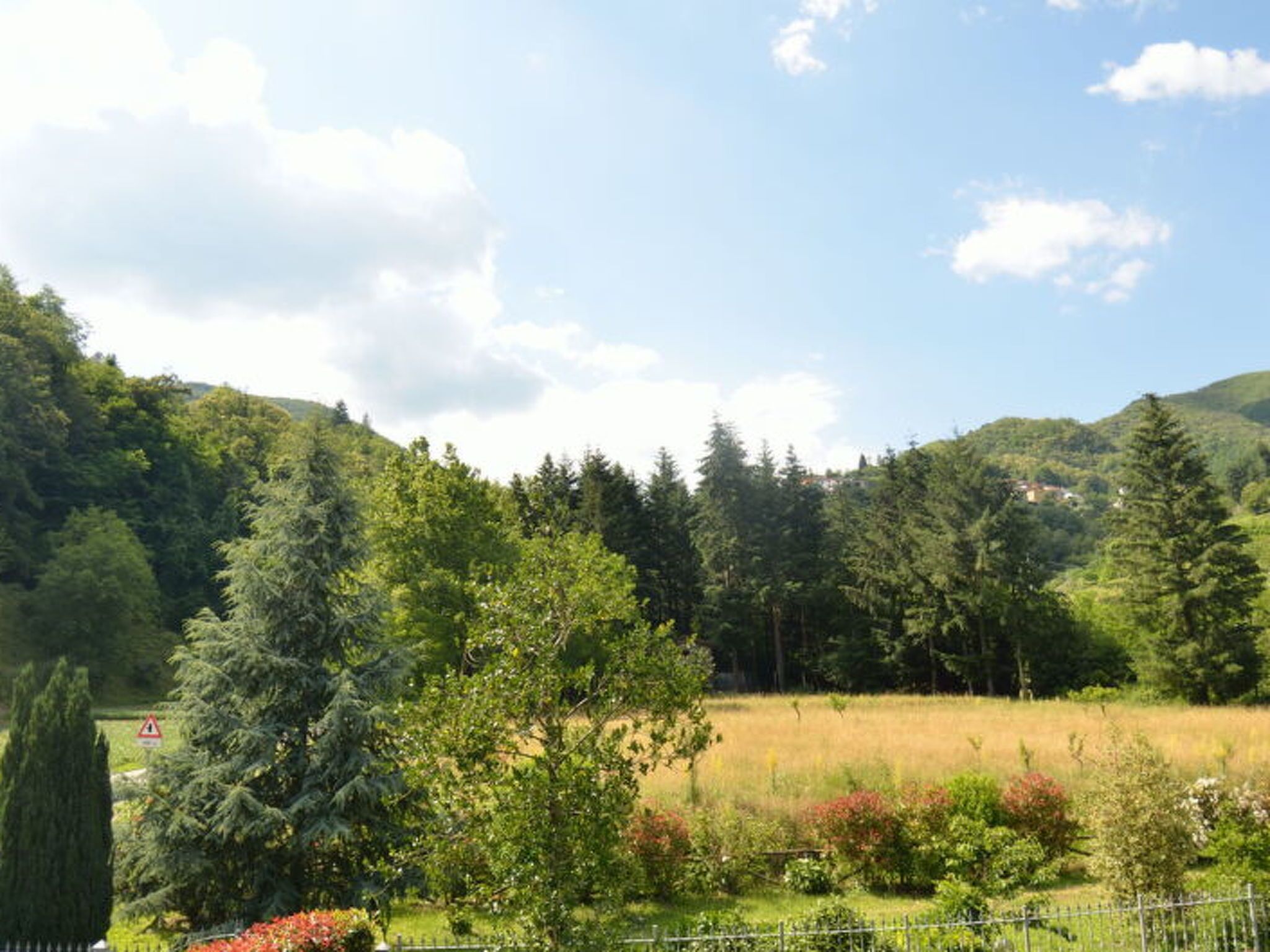 A rural landscape with a field, trees, and a fence.