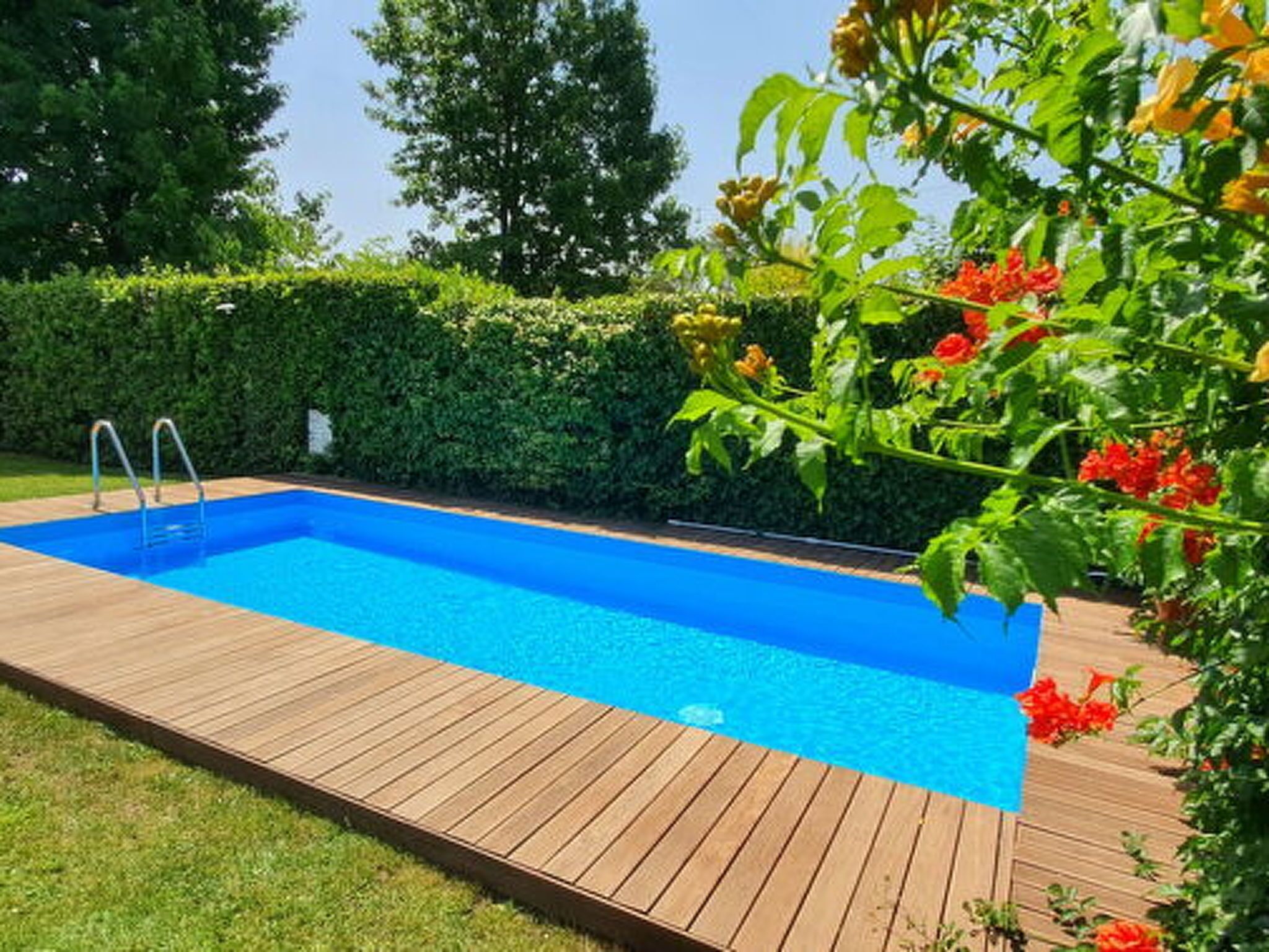 En rektangulär swimmingpool med ett trädäck och en metallstege, omgiven av en häck och blommande växter.