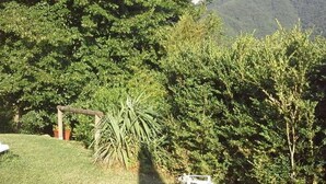 Un espacio cubierto de césped con árboles y una montaña al fondo.