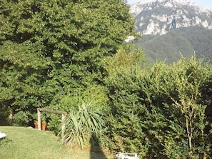 Eine grüne Wiese mit Bäumen und einem Berg im Hintergrund.