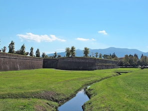 Ein grünes Feld mit einem kleinen Bach und einer Steinmauer.