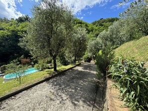 A pathway leading to a pool surrounded by trees and greenery. - Casa Milena by Interhome (La Sassa)