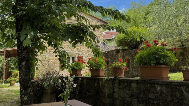 A wooden table with a vase, teacups, and pastries, set against a stone wall with potted plants and a building in the background. - Anfora!! by Interhome (Pescia)