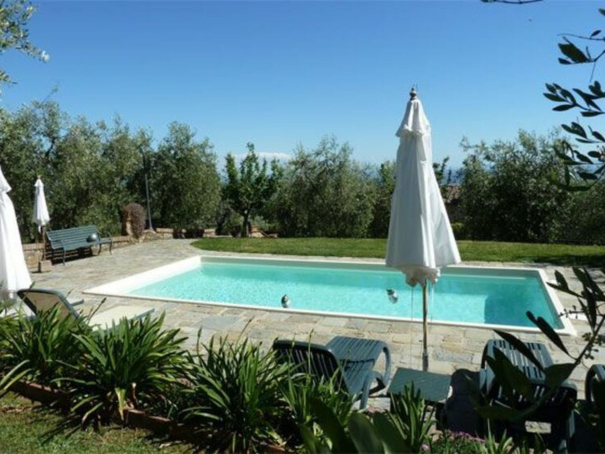 Une piscine rectangulaire bordée de pierres, entourée de chaises longues et de parasols blancs.