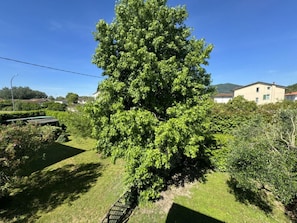 A large tree in a well-maintained garden with a building in the background. - Dependance Egle by Interhome (Ciciana)