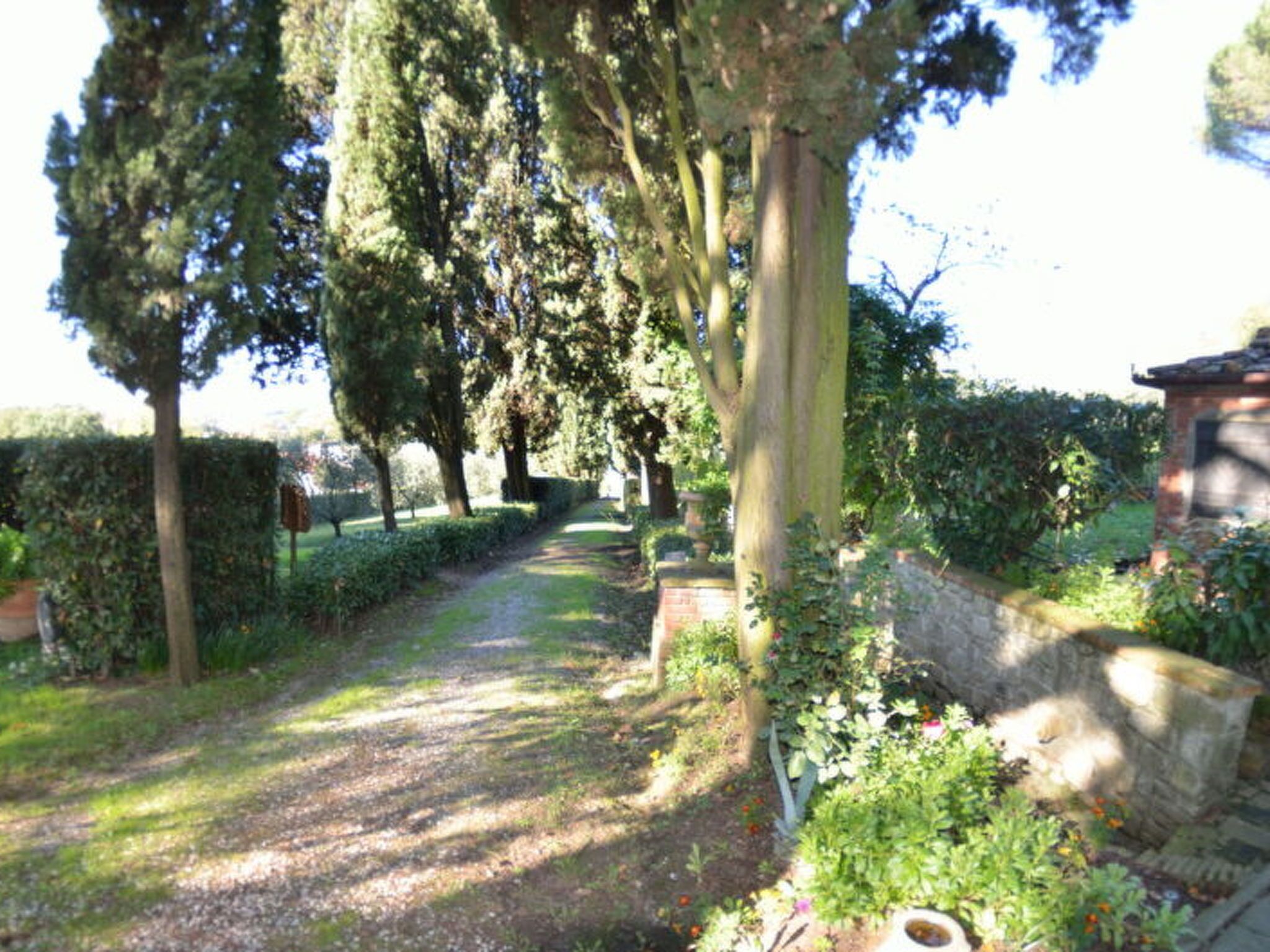 Un vialetto alberato e delimitato da siepi che conduce a un muro in pietra.