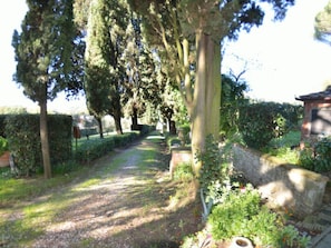 Ein Gartenweg, gesäumt von Bäumen und Hecken, der zu einer Steinmauer führt.