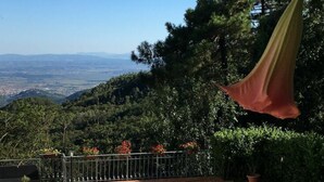 Une piscine rectangulaire à l’eau d’un bleu limpide, entourée d’une terrasse en bois, d’une pelouse et d’une clôture en métal.