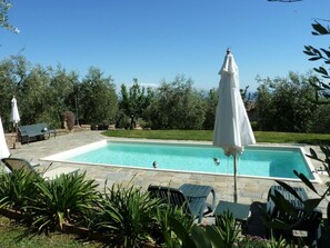 Ein rechteckiger Pool mit einem weißen Sonnenschirm, umgeben von Grünpflanzen und einer Steinterrasse.