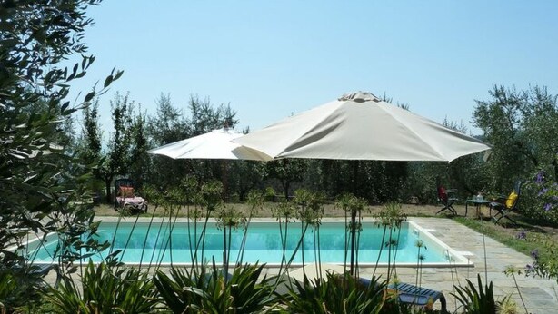 En swimmingpool med stor parasol, omgivet af grøn vegetation og et par stole.