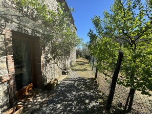 A stone building with a wooden bench outside, a gravel path, and a tree in the foreground. - Il Cantuccio Proprietà by Interhome (Colognora)