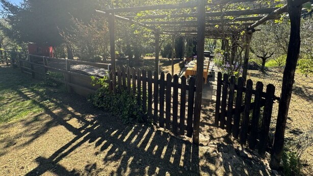 Una estructura de pérgola de madera con una mesa debajo, rodeada de una valla y árboles.